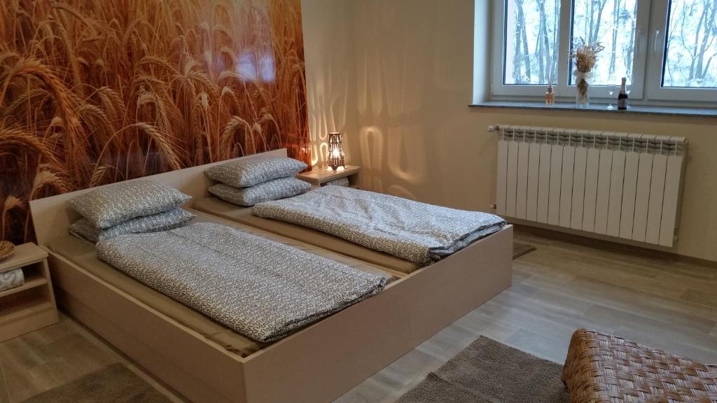 Rosa Bed and Breakfast - Doppel- Oder Zwillingszimmer