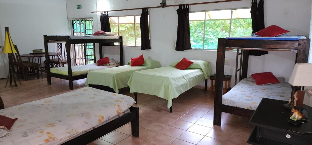 CalabazoにあるHostel Finca La Gorditaの二段ベッド4台とテーブルのある部屋