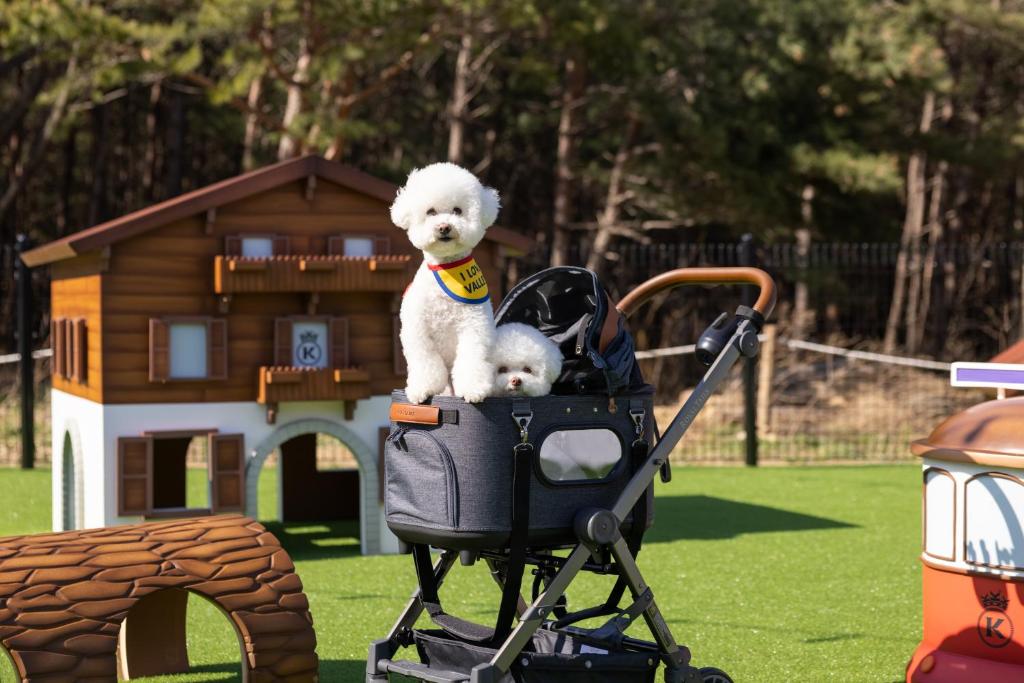 Děti v ubytování Kensington Resort Seorak Valley
