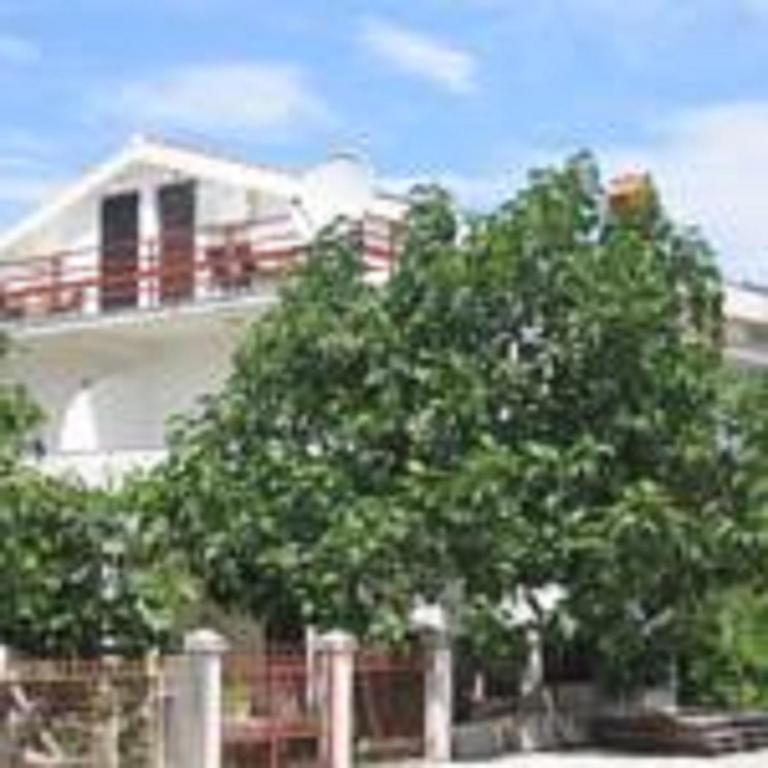 Фотография из галереи Franeta Apartments в Будве