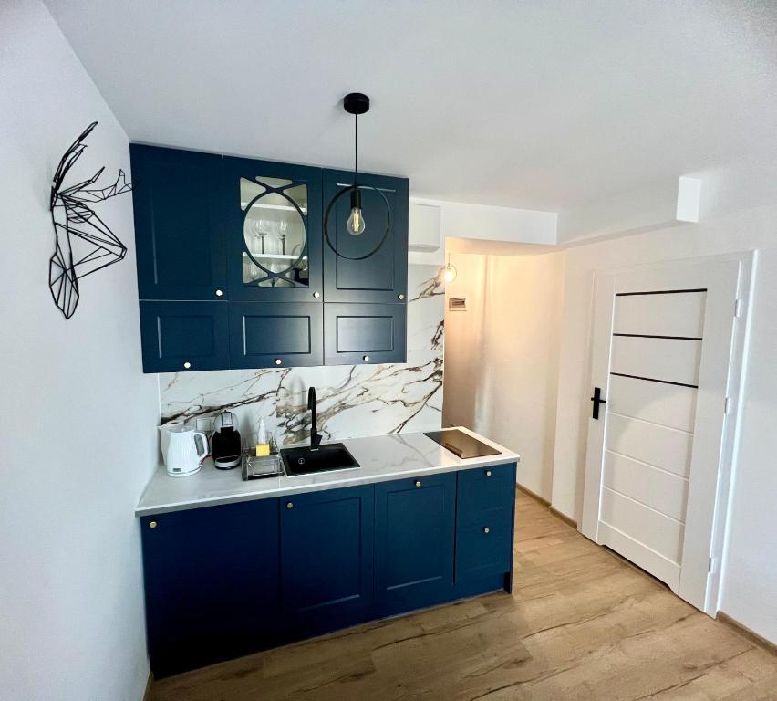 Kuchyňa alebo kuchynka v ubytovaní Apartament w Białce Tatrzańskiej