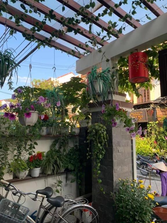 Zahrada ubytování Miss Ten Homestay