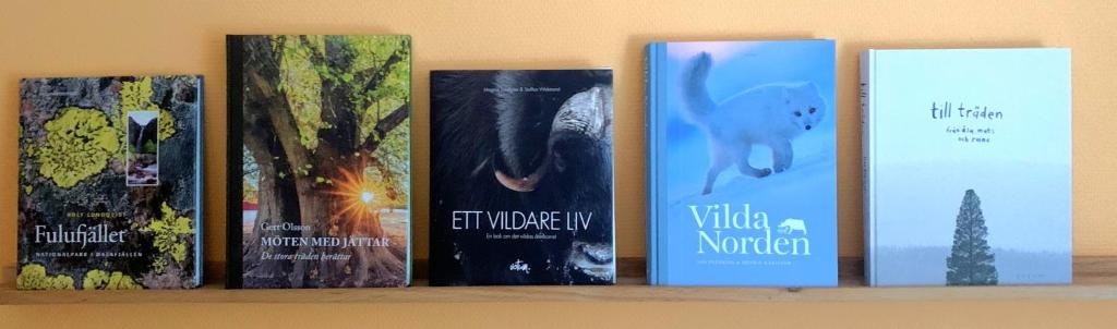 Knihovna v hostelu