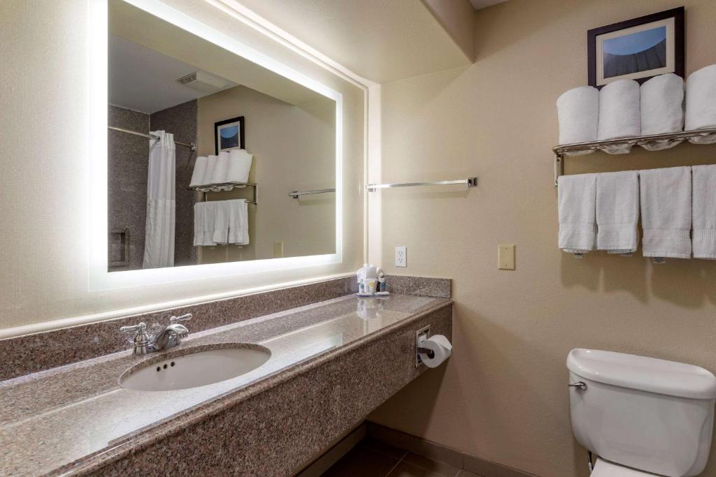 Comfort Suites Houston near Medical Center- NRG Stadium photo
