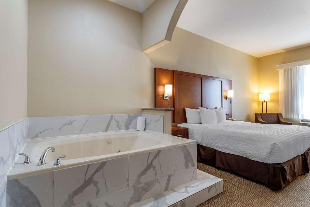 Comfort Suites Houston near Medical Center- NRG Stadium photo