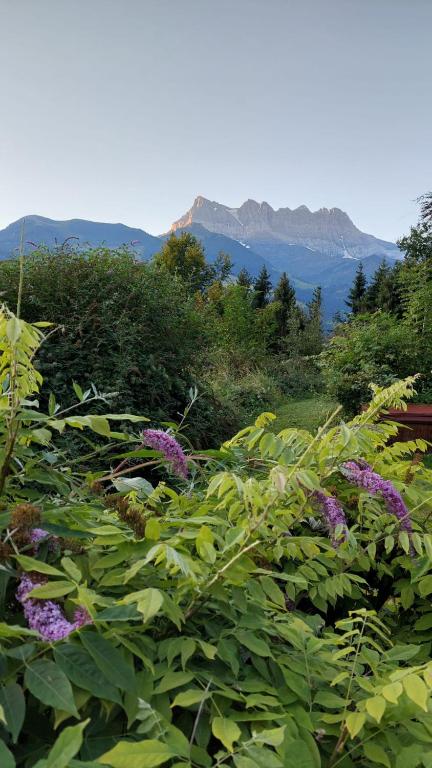 a field of purple flowers with mountains in the background at Chalet Ingas in Troistorrents