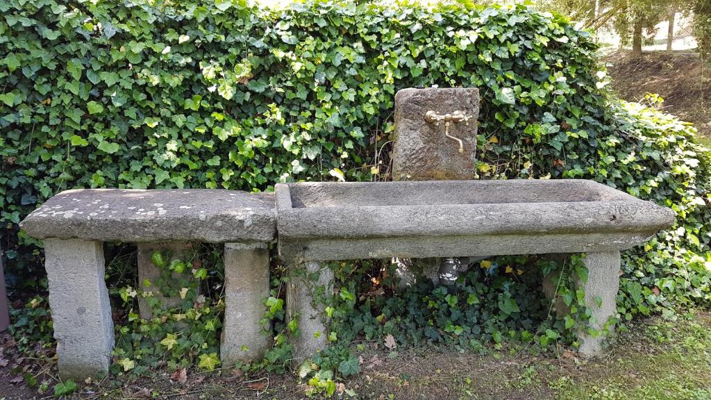 A garden outside IL Mulino Vitorchiano