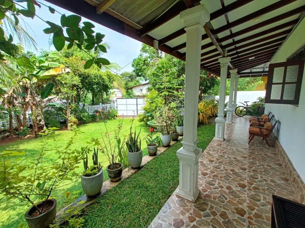 Zahrada ubytování Dreams Villa