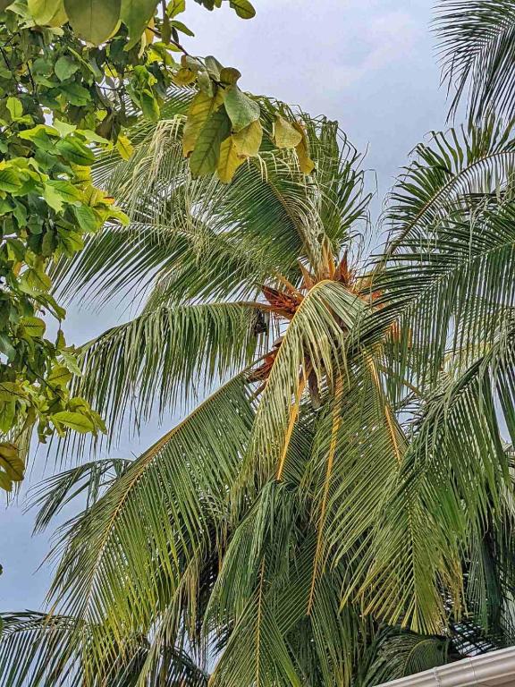 Fotografie z fotogalerie ubytování Dhoadhi Retreat v destinaci Thulusdhoo