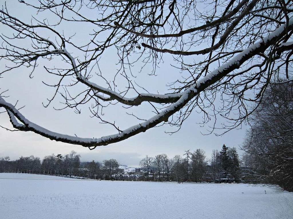 Unique Hotel Innere Enge - Resim 19