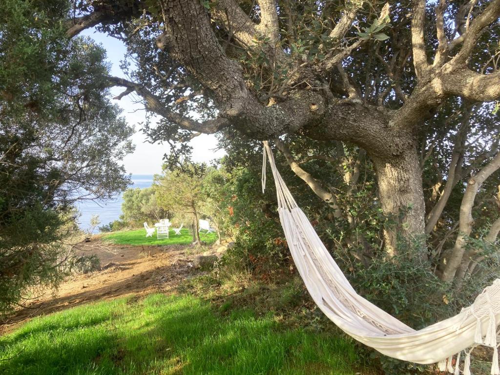 uma rede pendurada numa árvore numa praia em Domaine de la coletta Maison traditionnelle em Coti-Chiavari