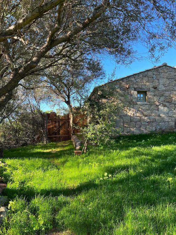 a stone barn in a field of green grass at Domaine de la coletta Maison traditionnelle in Coti-Chiavari