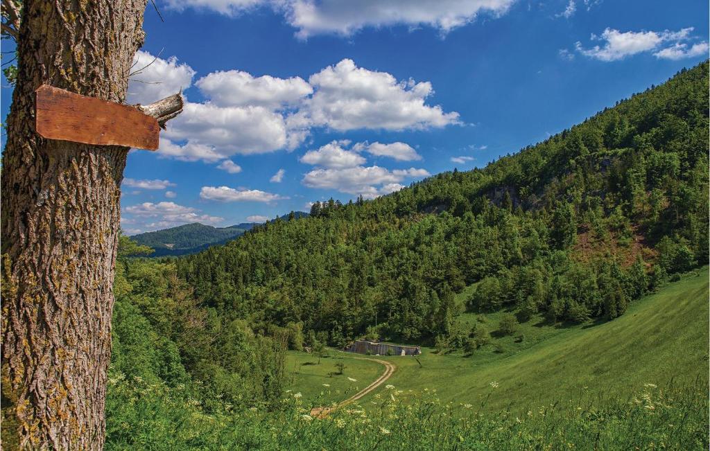 Příroda nedaleko prázdninového domu