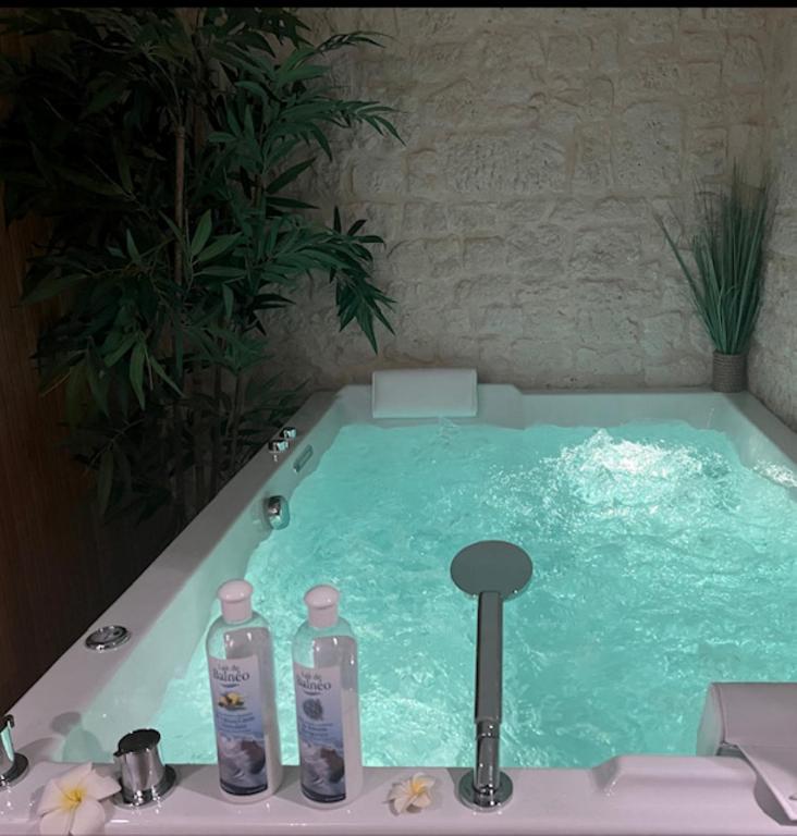 a bath tub with two bottles of water in it at Le Trophée Boutique Hôtel Spa- La Loggia Appart'hôtel in Deauville