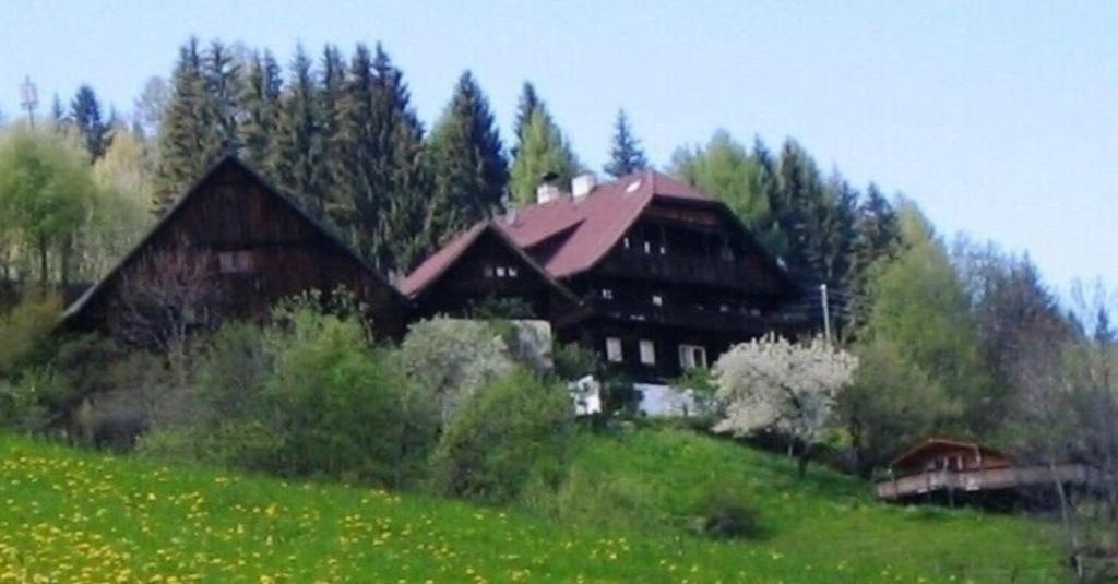 a large wooden building on a hill with trees at Romantisches Bauernhaus in 1100m Höhe zw Katschberg und Millstätter See 
