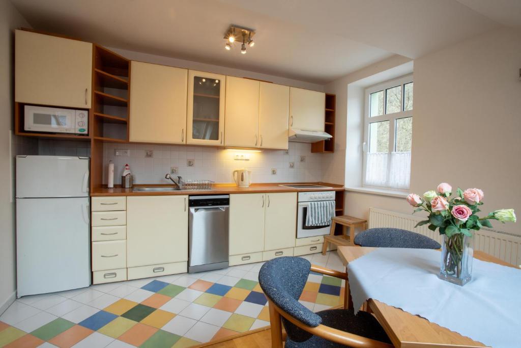 Kuchyň nebo kuchyňský kout v ubytování Krásný vybavený byt u sjezdovky