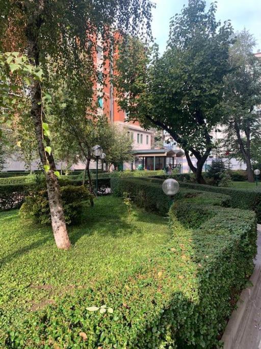 Vonkajšia záhrada v ubytovaní Cozy 1-room Studio in Giambellino