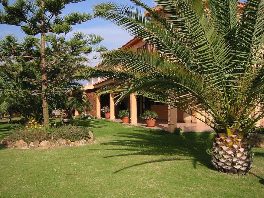 a palm tree in front of a house at Hotel Su Giudeu in Chia