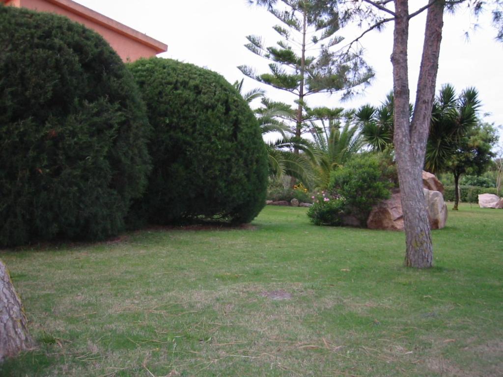 a yard with trees and bushes and a house at Hotel Su Giudeu in Chia