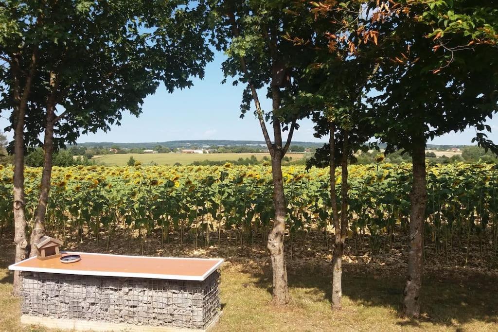 a stone bench in front of a field of sunflowers at meublé entier indépendant en contigu de ma maison in Saint-Georges-sur-Moulon