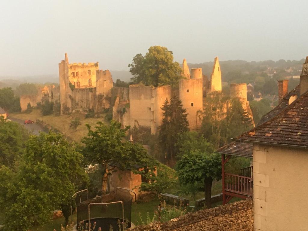 vista su un castello in lontananza di Chez Fred avec vue sur le Château ad Angles-sur-lʼAnglin