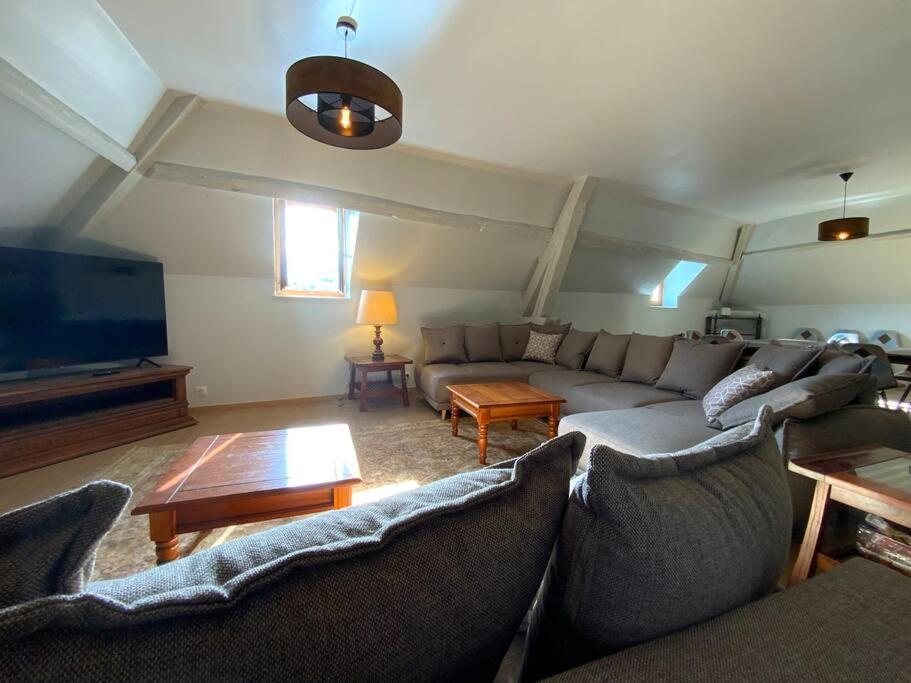 uma sala de estar com um sofá e uma televisão de ecrã plano em Gîte Les Roches : maison de caractère pour 15 personnes em Saint-Romain