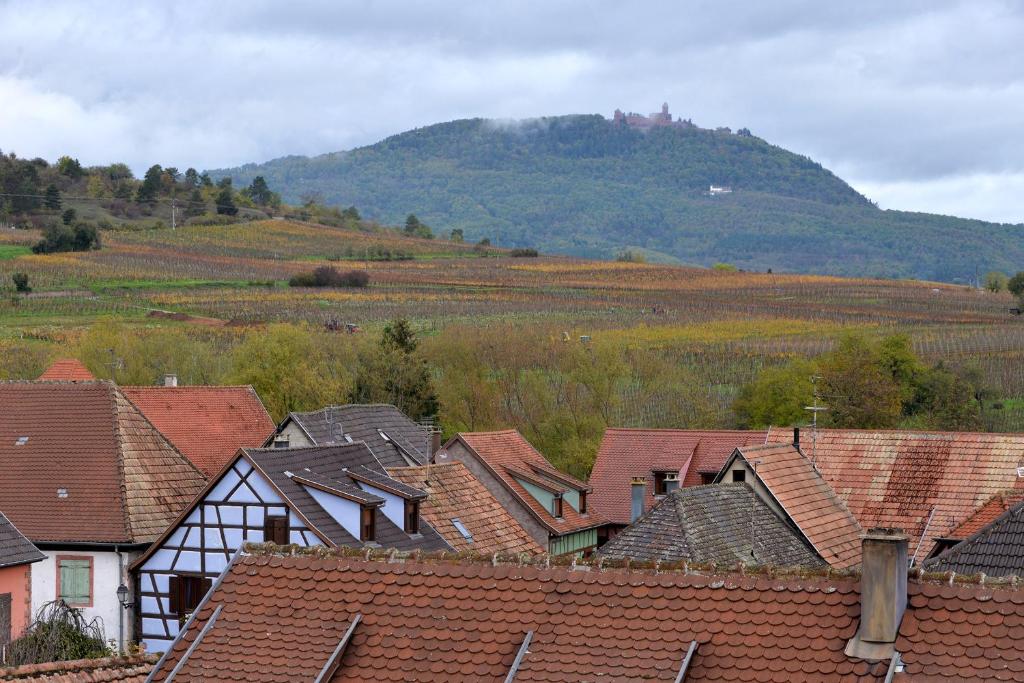 S'Harzala Jaune – photo 42