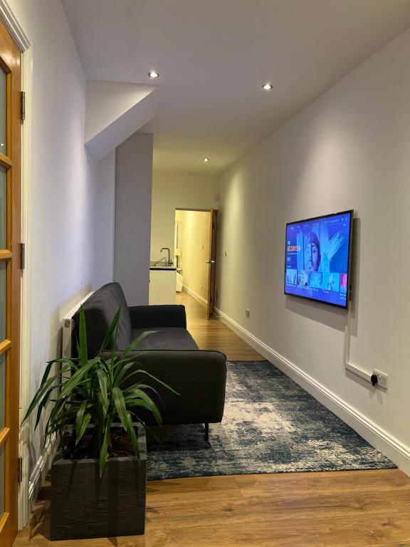 a living room with a couch and a tv on a wall at Brand New Modern Flat in Southall