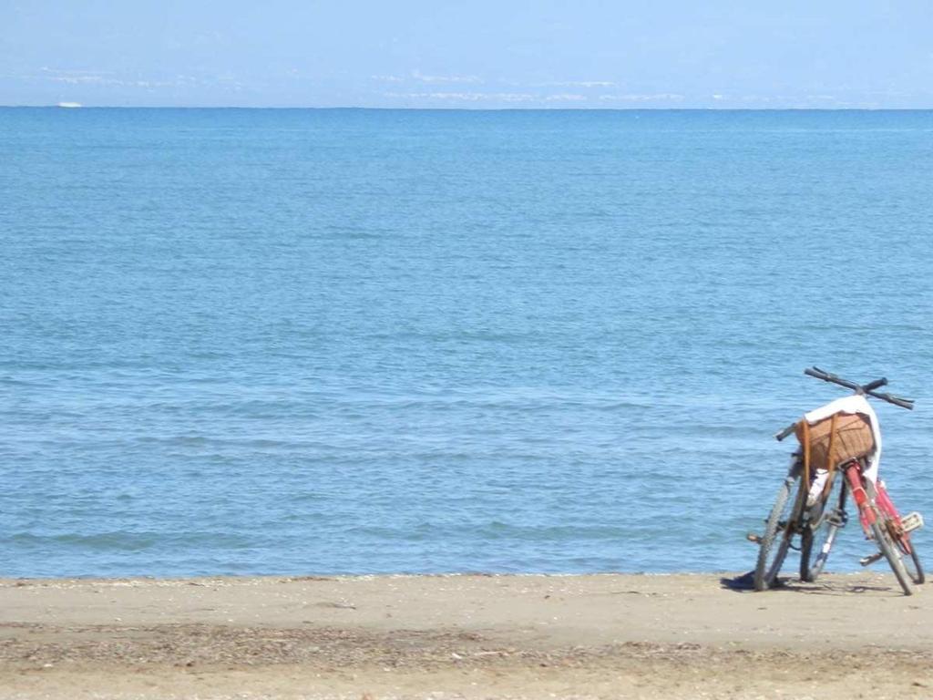 Fotografie z fotogalerie ubytování Vacaciones cerca del mar: piscina privada, aire opcional, mascotas bienvenidas, playa para perros - ES-184-28 v destinaci Riumar