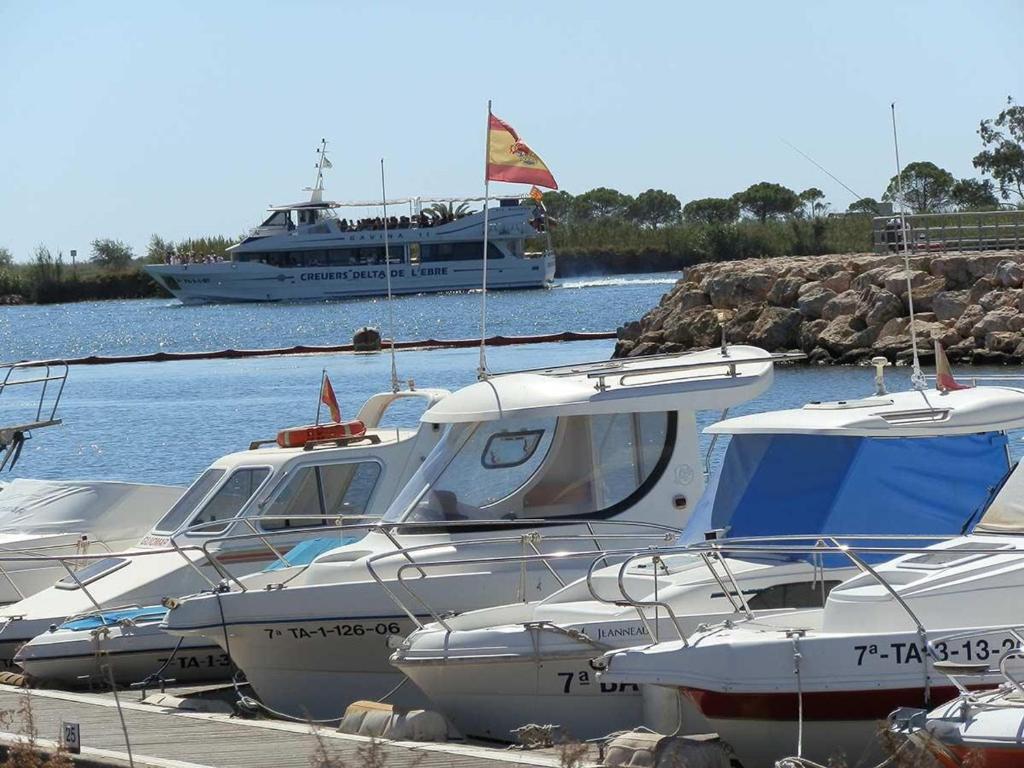Fotografie z fotogalerie ubytování Vacaciones cerca del mar: piscina privada, aire opcional, mascotas bienvenidas, playa para perros - ES-184-28 v destinaci Riumar