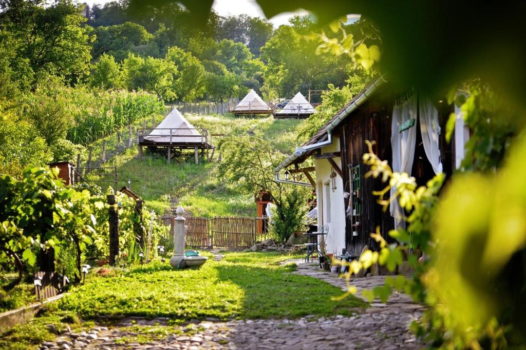 Saschiz 130/Lodging and Glamping - Tente
