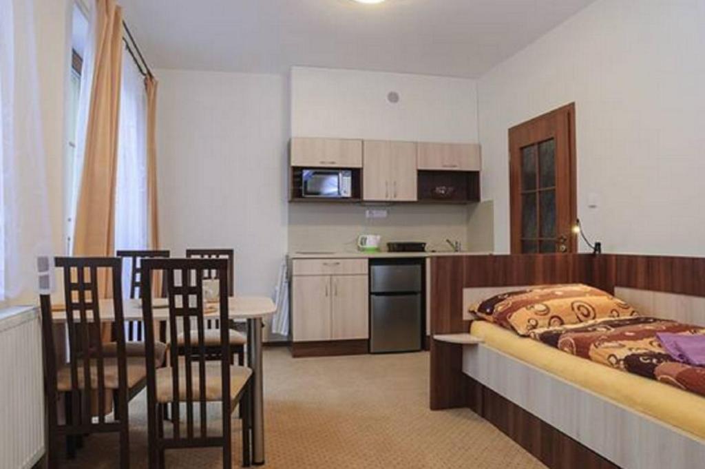 Kuchyň nebo kuchyňský kout v ubytování Apartmány Řezáč