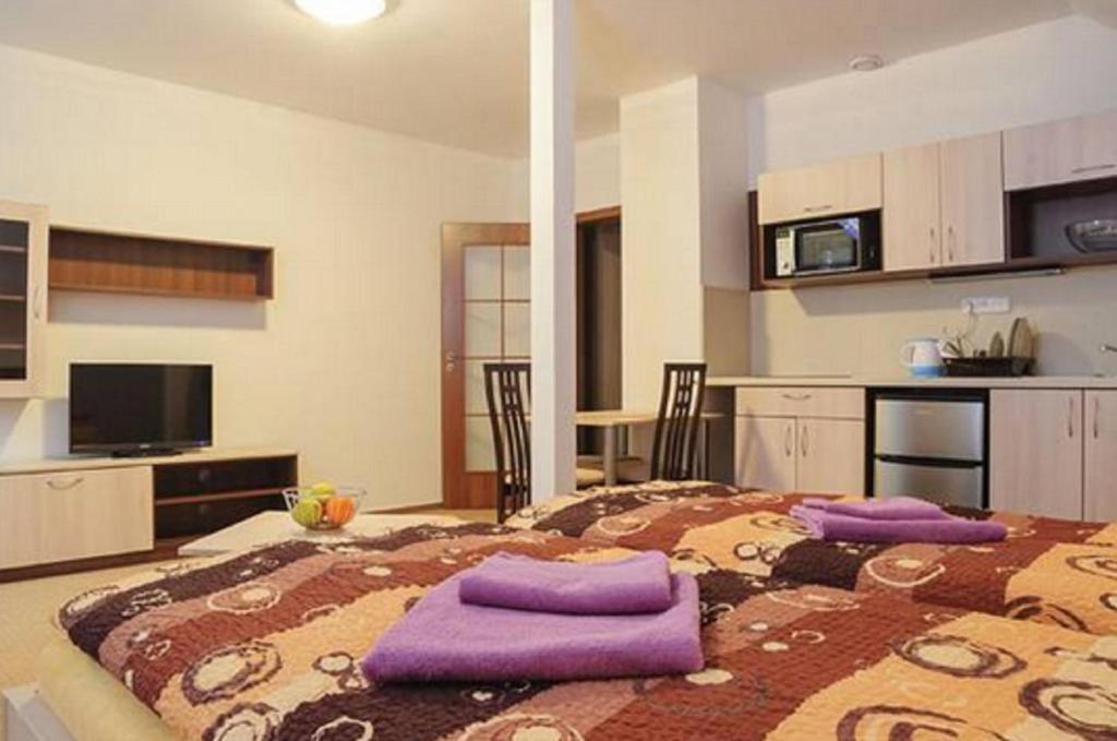 Kuchyň nebo kuchyňský kout v ubytování Apartmány Řezáč