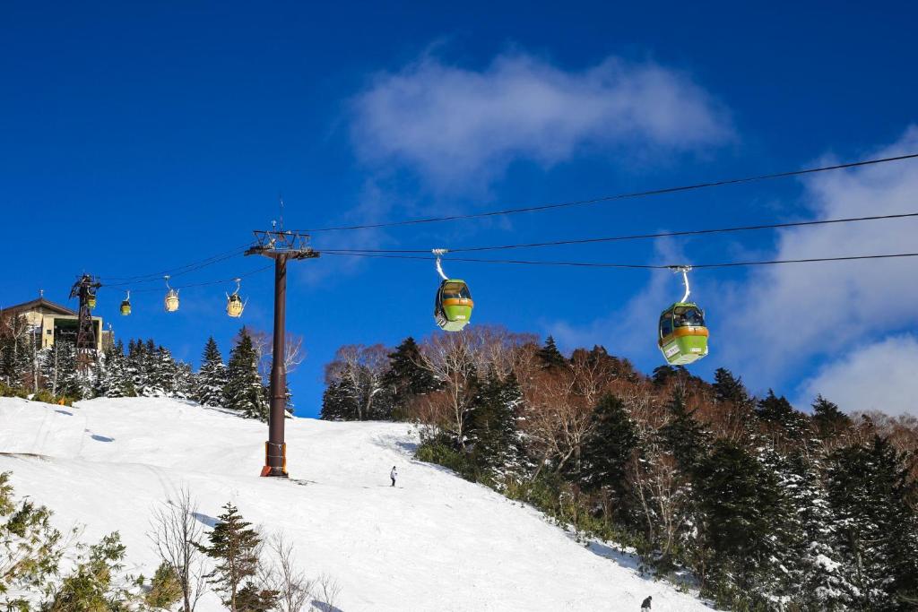 Shiga Kogen Olympic Hotel v zimě