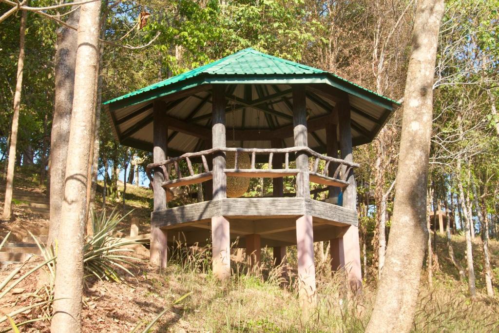 Fotografie z fotogalerie ubytování Mae Chan Treehouse with swimming pool v destinaci Mae Chan
