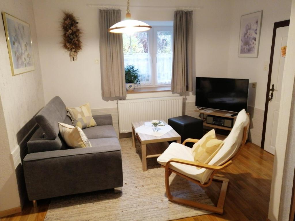 TV a/nebo společenská místnost v ubytování Appartment Haring
