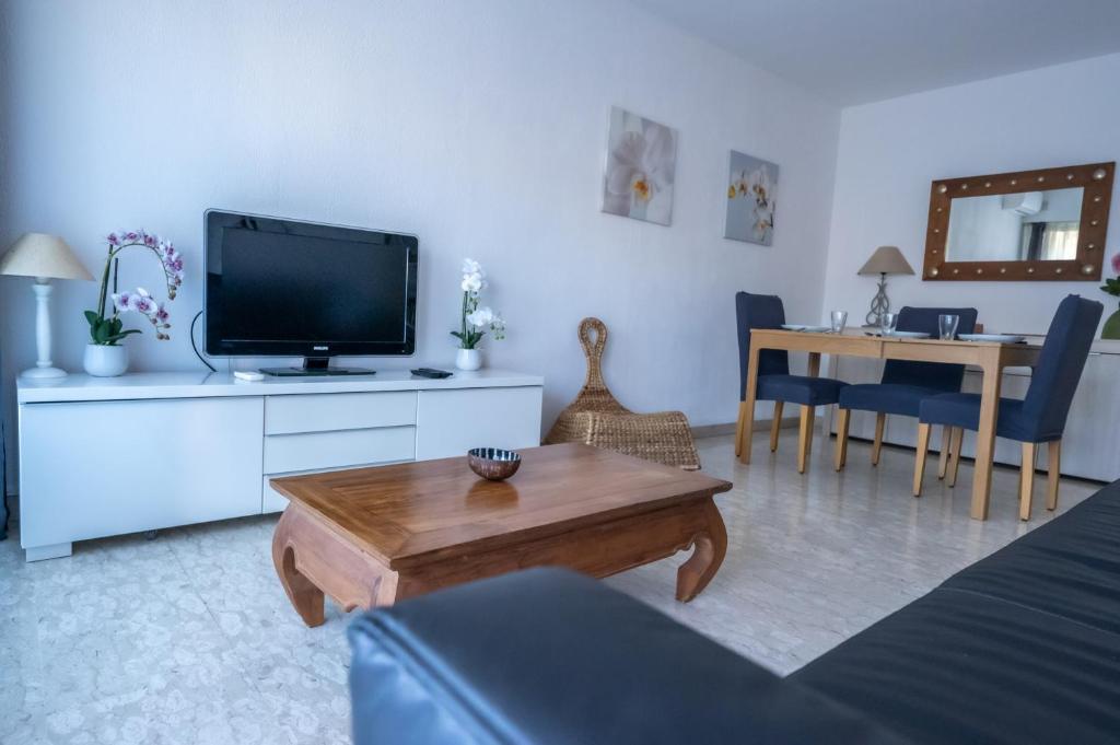 Holidays in cannes - appartement 2P - wifi - clim - parkingにあるテレビまたはエンターテインメントセンター