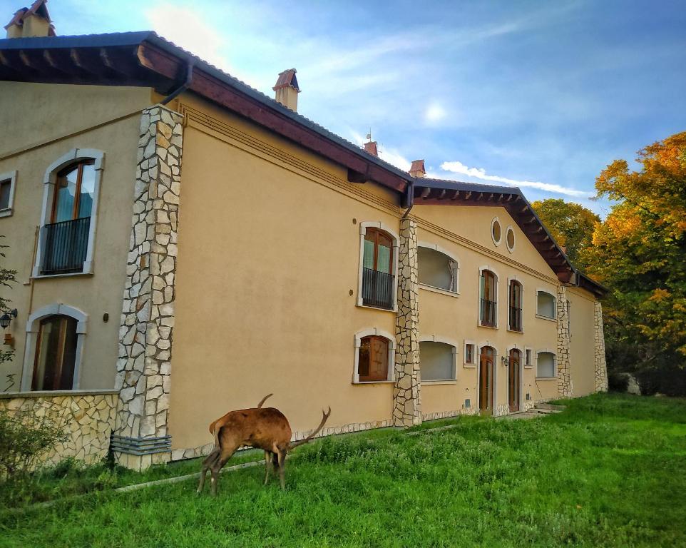 a goat standing in the grass in front of a building at Le Masserie Case Vacanza in Villetta Barrea