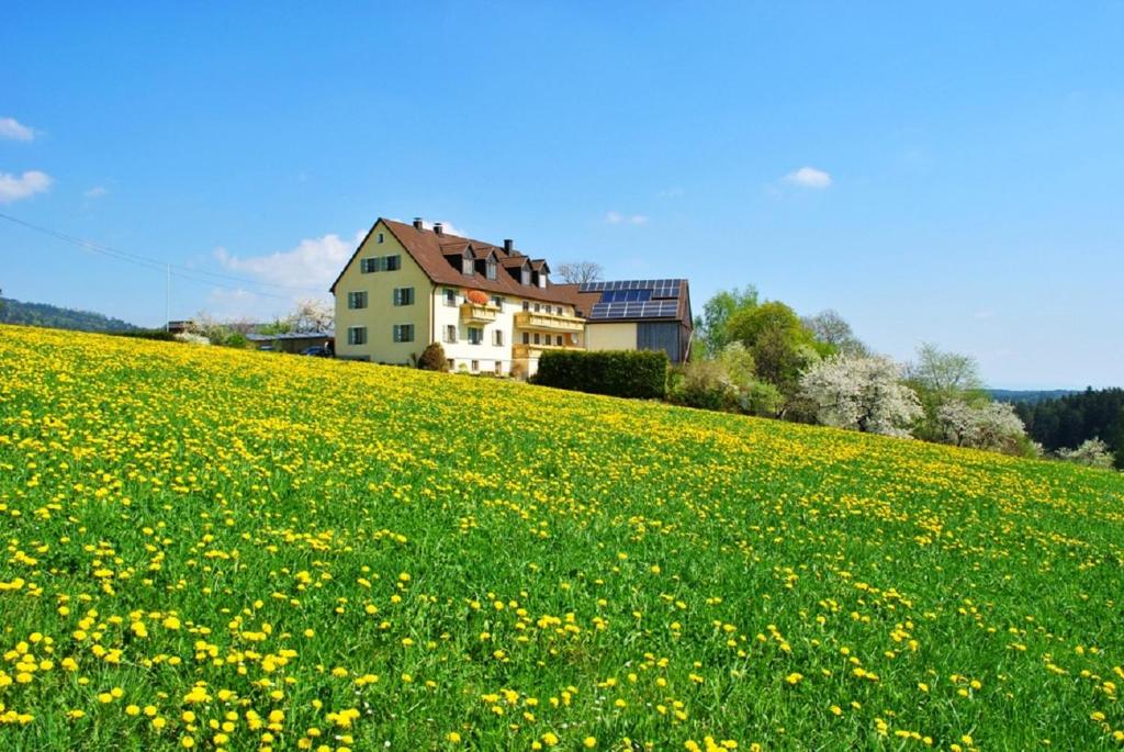 a house on a hill with a field of flowers at Ferienwohnung Kappauf / Petrik in Friedenfels