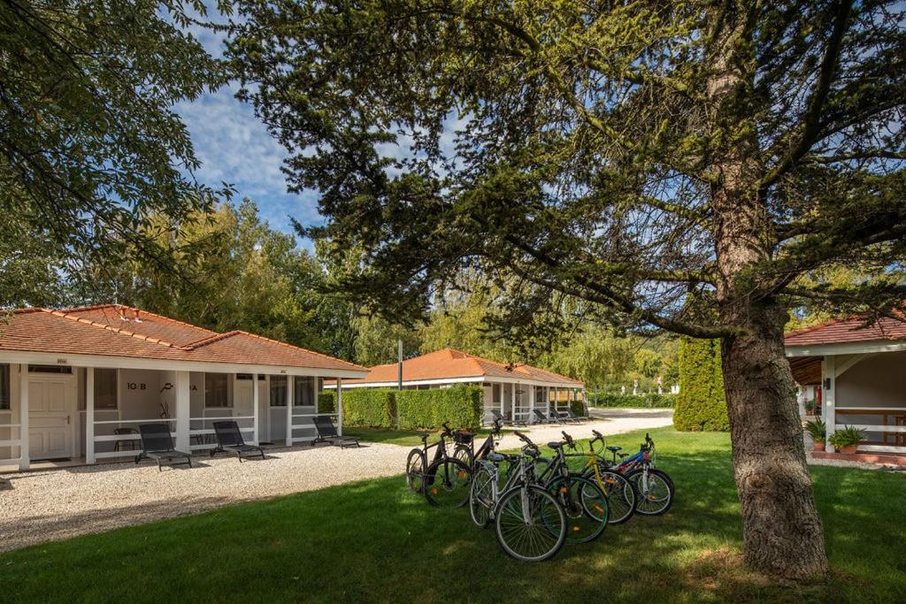 Jazda na bicykli v okolí ubytovania SZÉP BALATON