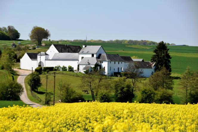 a white house on a hill with a field of yellow flowers at La ferme de Basseilles in Mozet 