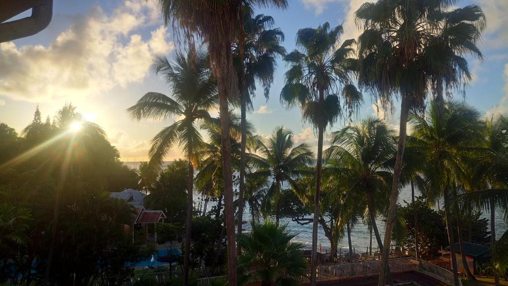 een uitzicht op de oceaan vanuit een resort met palmbomen bij Grand studio les pieds dans l'eau, centre ville in Le Gosier