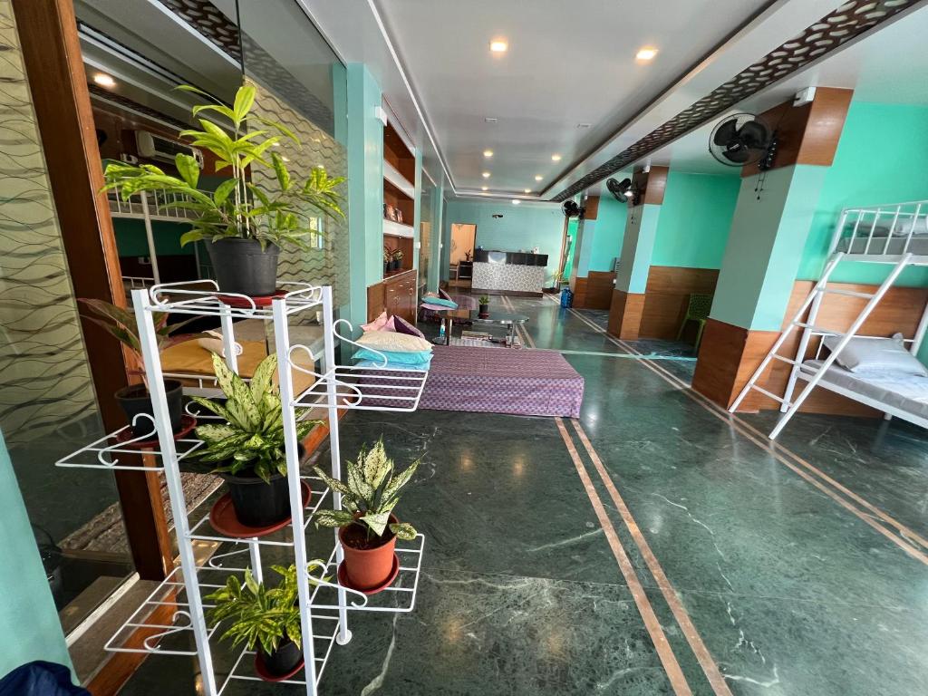 a hallway with several beds and potted plants at Backpackers hostel in Pune