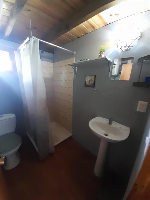 Koupelna v ubytování Cabaña Picaflores