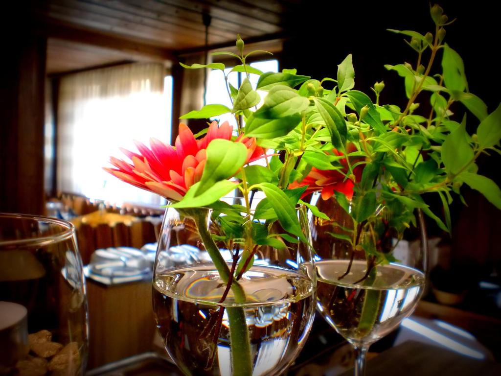 Thức uống tại Hotel & Gästehaus Krone