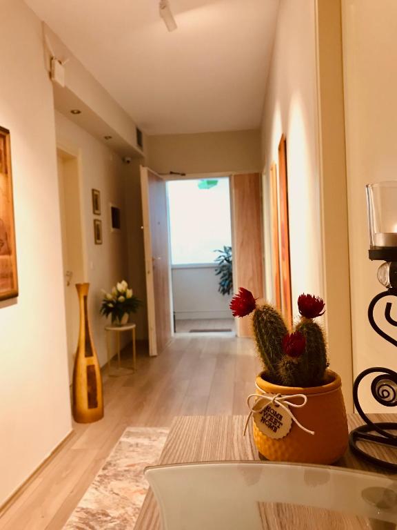 Home away from Home Apartment - Imazhi 9