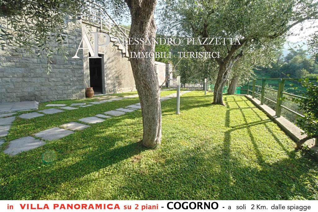 Κήπος έξω από το Villa tra gli ulivi - bellissima vista panoramica