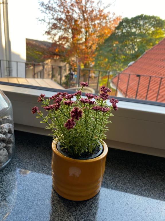 Balkón nebo terasa v ubytování Gasthaus Zur Post