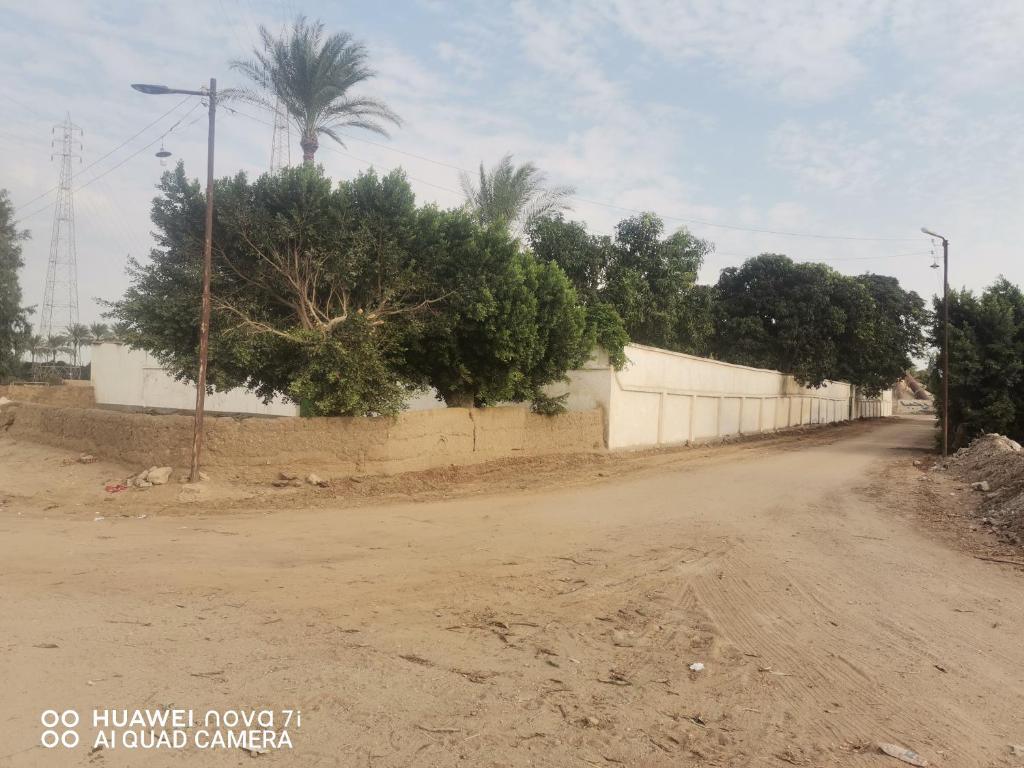 een onverharde weg met een hek en palmbomen bij استراحه وفيلا ومكان ترفيهي 