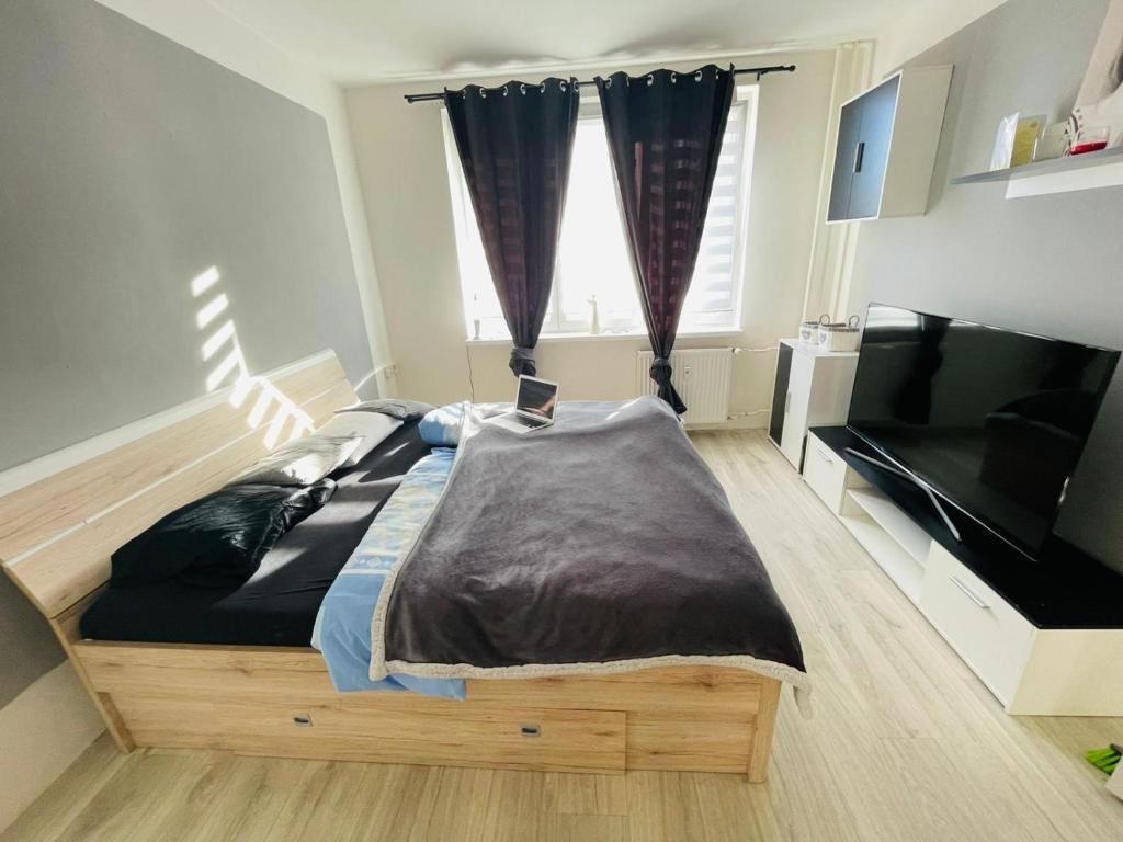 1 dormitorio con 1 cama y TV de pantalla plana en Feel like home en Horní Slavkov